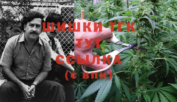 ешки Балахна