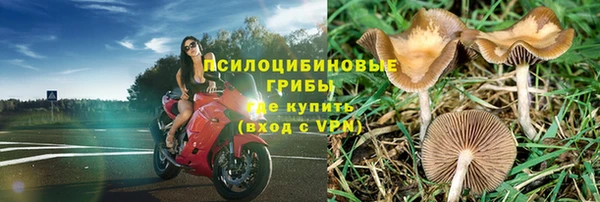 ешки Балахна