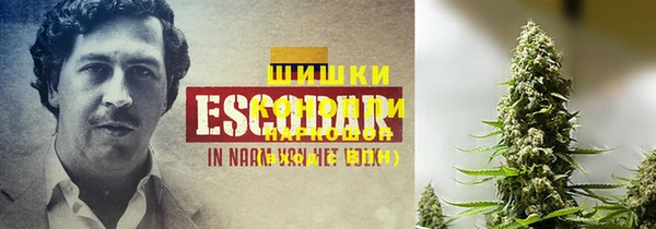 ешки Балахна