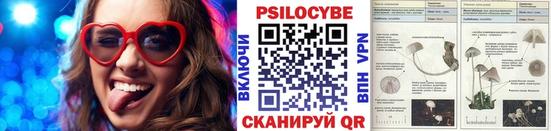 сколько стоит Вяземский Галлюциногенные грибы Psilocybine cubensis